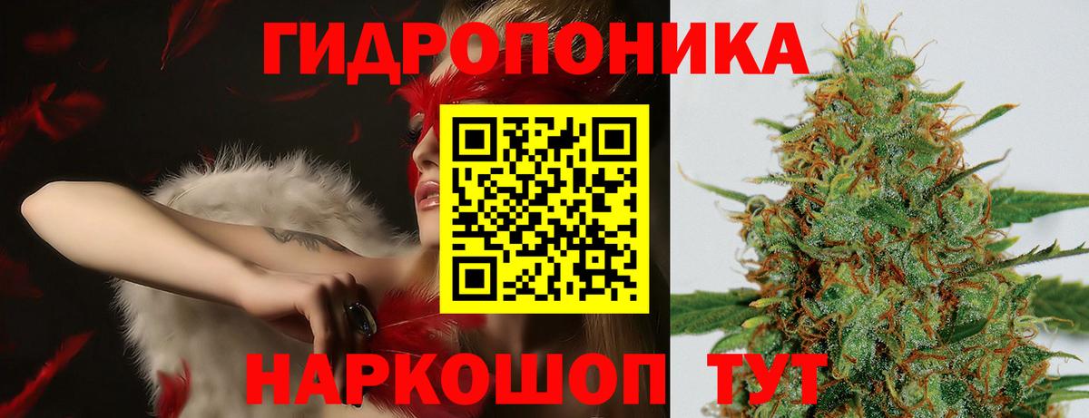 Орск  Шишки марихуана марихуана  Вход с VPN  Канабис Ganja  Шишки марихуана VHQ 